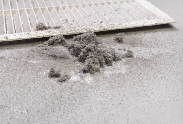 Best Affordable Duct Cleaning Services  in Village Of Waukesha, WI